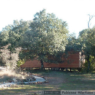 Photo du jardin